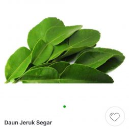 Daun jeruk/daun salam